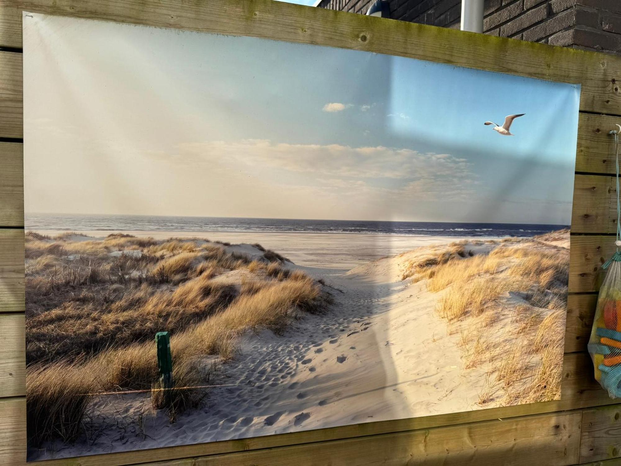 Coastal Dreaming Villa Egmond aan Zee Eksteriør billede